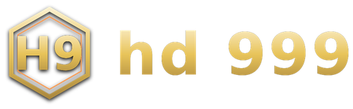 hd 999 logo